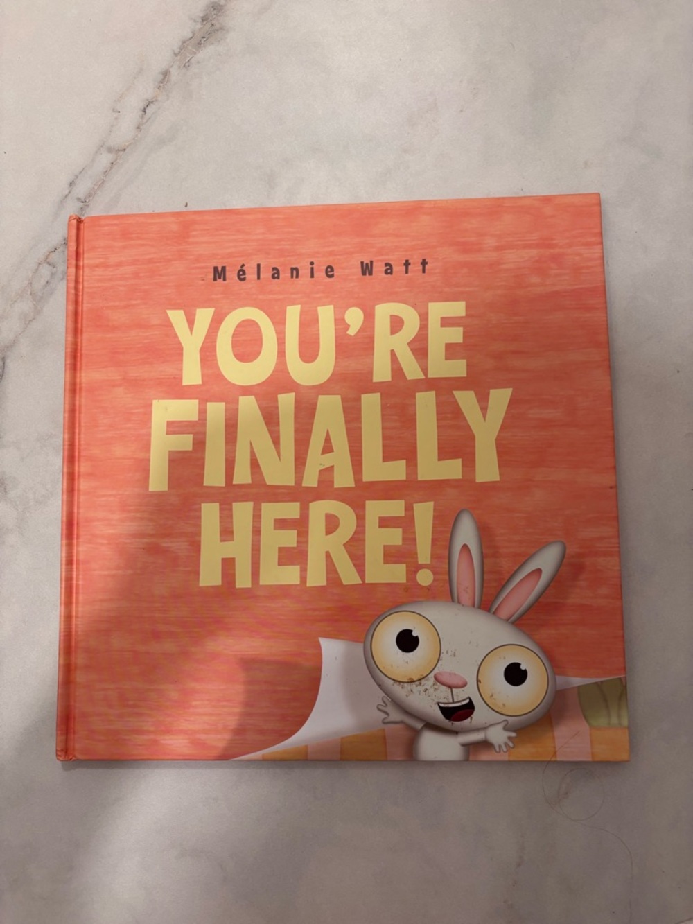 Mélanie Watt "YOU'RE FINALLY HERE!" Children's Book Disney Hyperion Book
